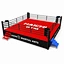 Professional Wrestling Ring